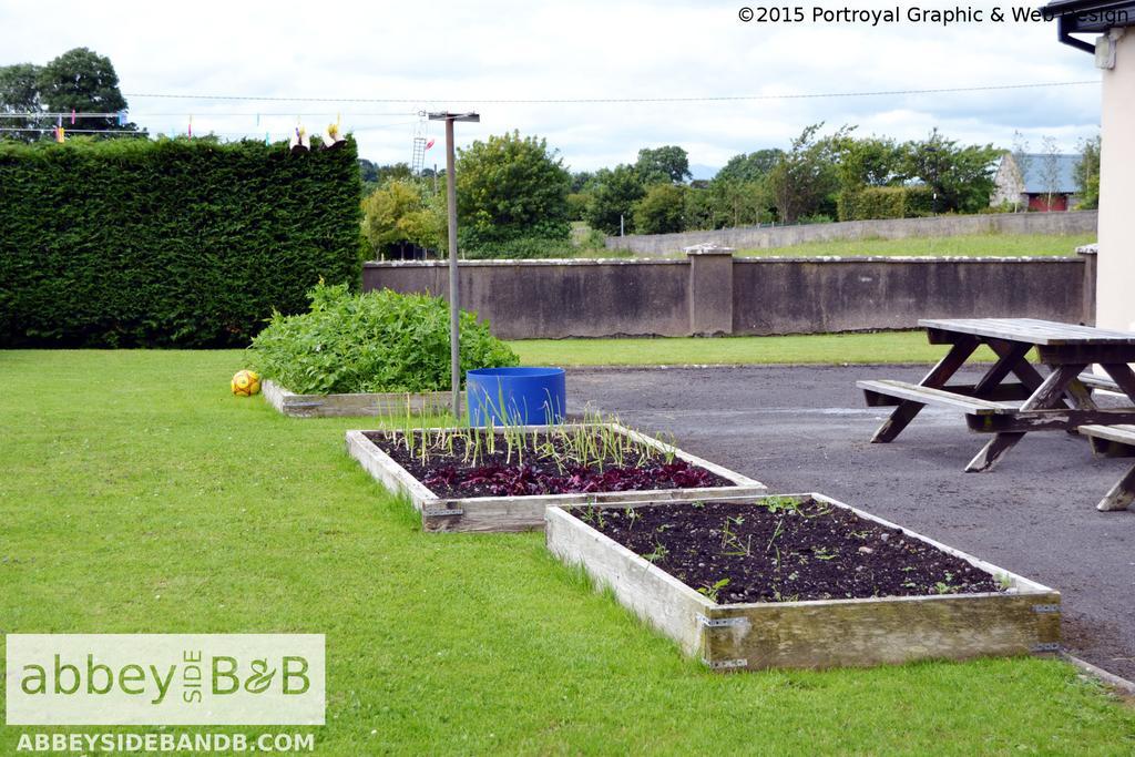 Abbeyside B&B Ballintober (Mayo) Exterior foto